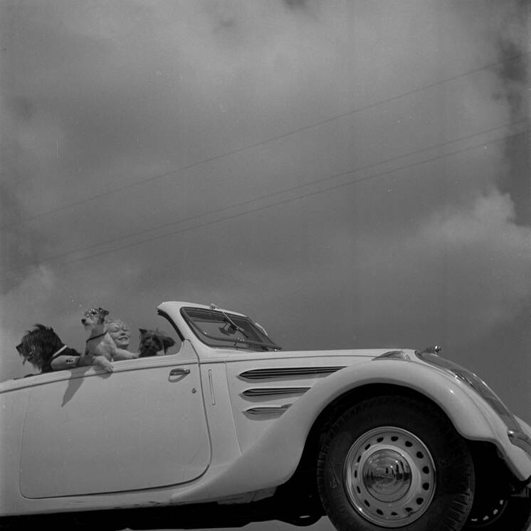 En avant en voiture
