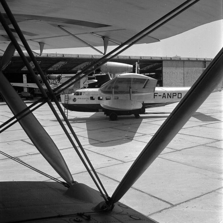 Avion