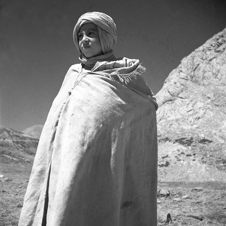 Berger en Algérie