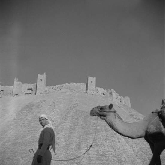 Alep - La Citadelle - Syrie