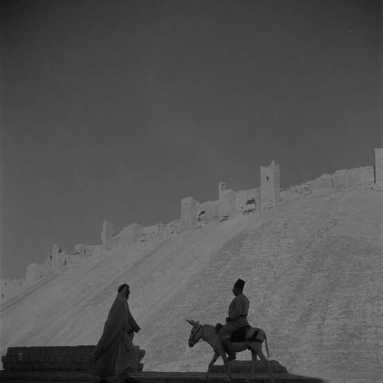 Alep - La Citadelle - Syrie