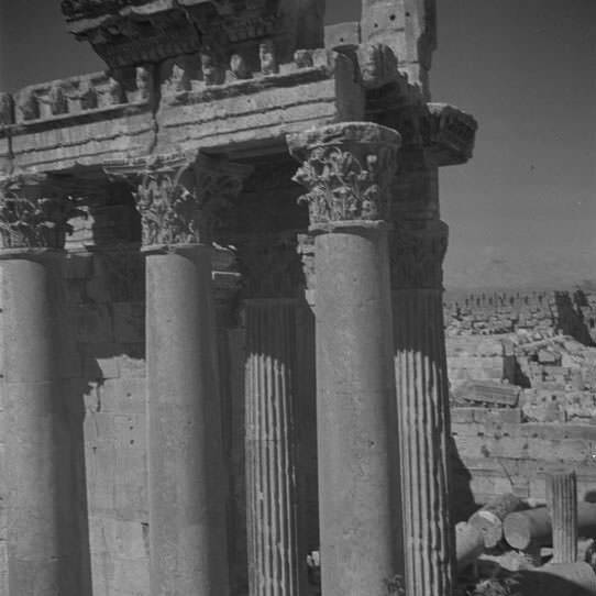 Palmyre - Syrie