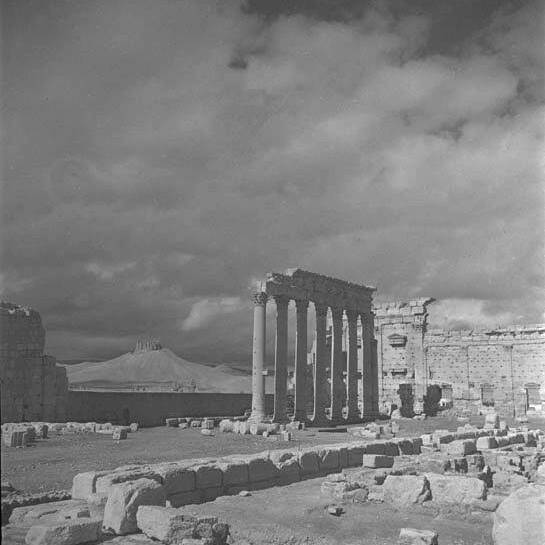 Palmyre - Syrie