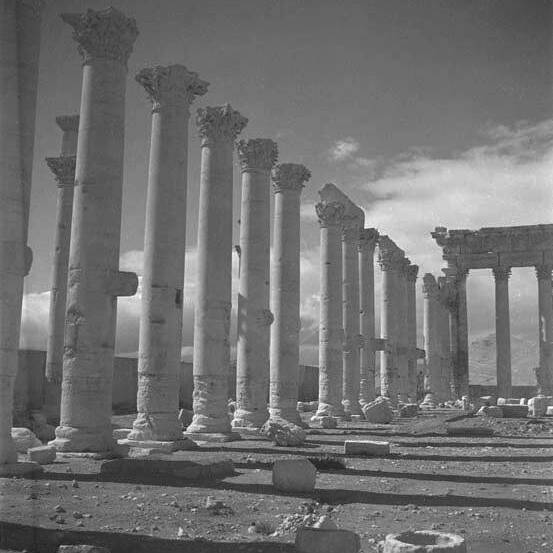 Palmyre - Syrie