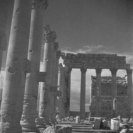 Palmyre - Syrie