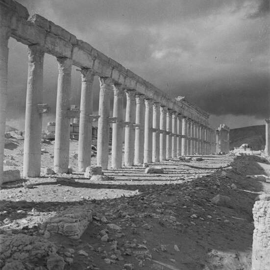 Palmyre - Syrie