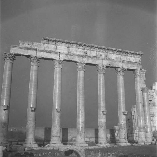 Palmyre - Syrie