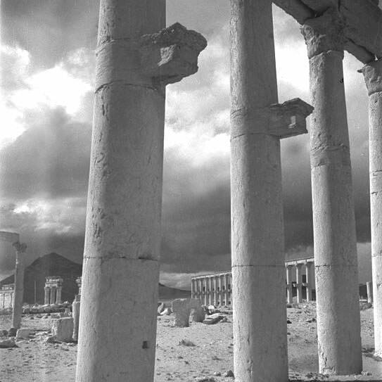 Palmyre - Syrie