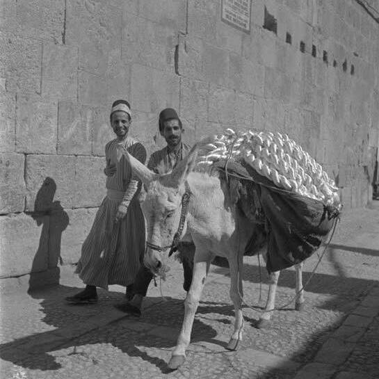 Syrie