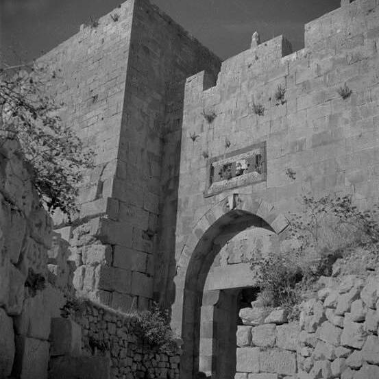 Syrie
