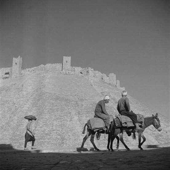 Alep - La Citadelle - Syrie